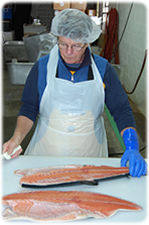 [Lee filleting a fresh salmon]